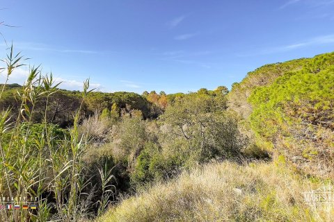 Parcela de 17000 m² en venta en Condado del Jaruco, Gerona, Cataluña, Spain № 3090 - foto 16