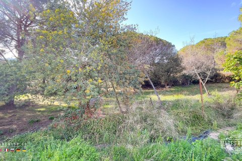 Parcela de 17000 m² en venta en Condado del Jaruco, Gerona, Cataluña, Spain № 3090 - foto 20