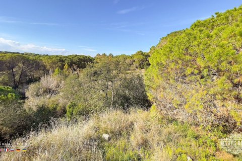 Parcela de 17000 m² en venta en Condado del Jaruco, Gerona, Cataluña, Spain № 3090 - foto 12