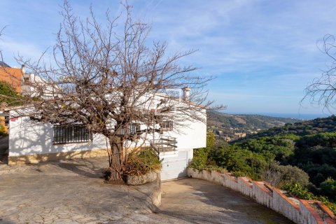 Villa de 3 dormitorios en venta en Alella, Barcelona, Cataluña, Spain № 3777 - foto 20