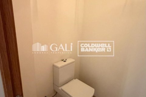 Сasa de 5 dormitorios en venta en Principado De Andorra (Ninguna Poblacion Tiene C.P.), Lérida, Cataluña, Spain № 7962 - foto 13