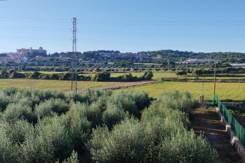  Castillos de 3 dormitorios en venta en Torredembarra, Tarragona, Cataluña, Spain № 4983 - foto 28