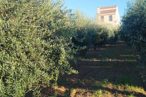  Castillos de 3 dormitorios en venta en Torredembarra, Tarragona, Cataluña, Spain № 4983 - foto 9