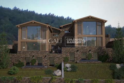Villa de 5 dormitorios en venta en Principado De Andorra (Ninguna Poblacion Tiene C.P.), Lérida, Cataluña, Spain № 5470