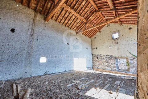 Купить дом в Каталония, Испания с 1 спальня, 1300м², № 5866 - фото 13