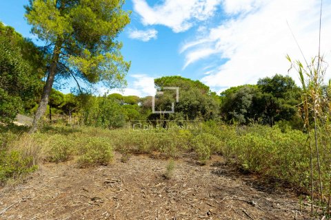 land plot for sale in Sant Andreu de Llavaneres, Barcelona, Catalonia, Spain № 8657 - photo 6
