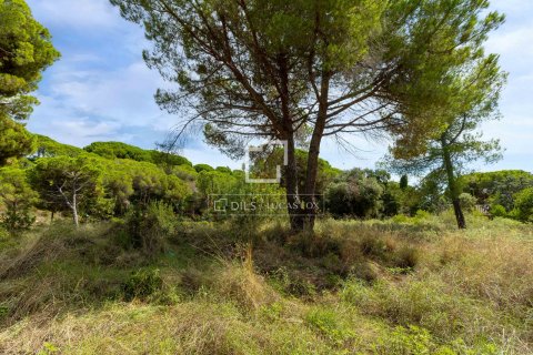 land plot for sale in Sant Andreu de Llavaneres, Barcelona, Catalonia, Spain № 8657 - photo 19
