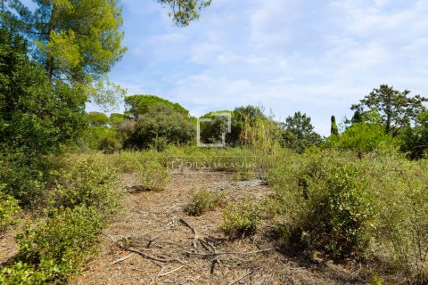 land plot for sale in Sant Andreu de Llavaneres, Barcelona, Catalonia, Spain № 8657 - photo 5