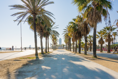3 bedrooms apartment for sale in Diagonal Mar, Barcelona, Catalonia, Spain № 1225 - photo 6
