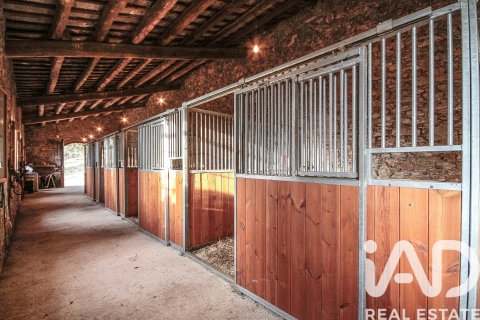 Сasa de 11 dormitorios en venta en Castellar del Vallès, Barcelona, Cataluña, Spain № 4706 - foto 5