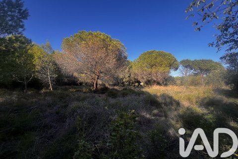 2949 sq.m. land plot for sale in Palamos, Girona, Catalonia, Spain № 4658 - photo 6