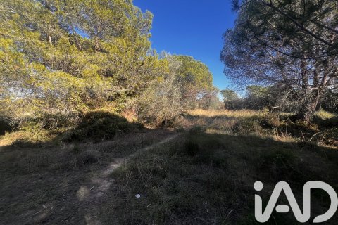 2949 sq.m. land plot for sale in Palamos, Girona, Catalonia, Spain № 4658 - photo 4