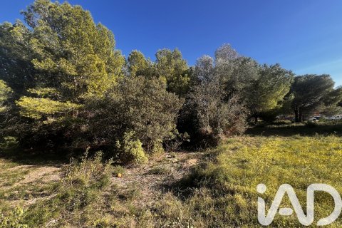 2949 sq.m. land plot for sale in Palamos, Girona, Catalonia, Spain № 4658 - photo 3