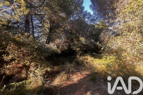 2949 sq.m. land plot for sale in Palamos, Girona, Catalonia, Spain № 4658 - photo 8