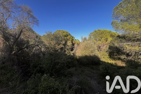 2949 sq.m. land plot for sale in Palamos, Girona, Catalonia, Spain № 4658 - photo 10