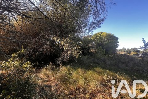 2949 sq.m. land plot for sale in Palamos, Girona, Catalonia, Spain № 4658 - photo 5