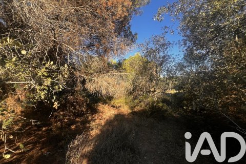 2949 sq.m. land plot for sale in Palamos, Girona, Catalonia, Spain № 4658 - photo 7