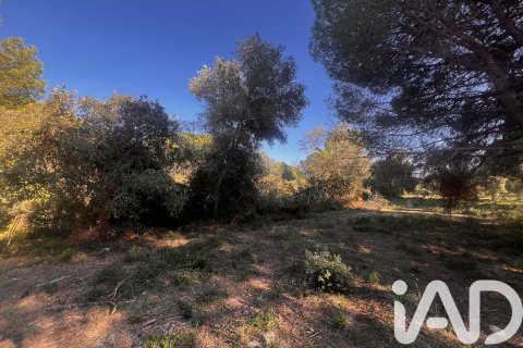 2949 sq.m. land plot for sale in Palamos, Girona, Catalonia, Spain № 4658 - photo 9