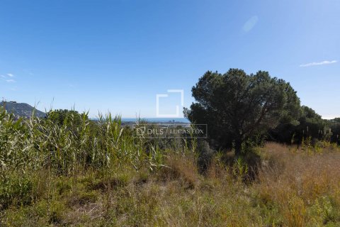 Parcela en venta en Premia De Dalt, Barcelona, Cataluña, Spain № 8736 - foto 9
