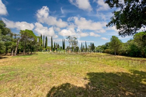Купить дом в Кальдес-де-Малавелья, Испания с 10 спален, 1000м², № 6058 - фото 23