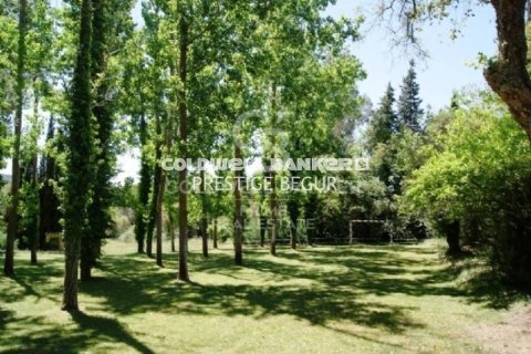 Купить дом в Кальдес-де-Малавелья, Испания с 10 спален, 1000м², № 6058 - фото 24