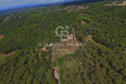 Купить дом в Кальдес-де-Малавелья, Испания с 10 спален, 1000м², № 6058 - фото 4