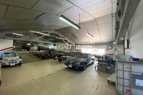 1186 sq.m. commercial property for rent in Principado De Andorra (Ninguna Poblacion Tiene C.P.), Lleida, Catalonia, Spain № 6157 - photo 3
