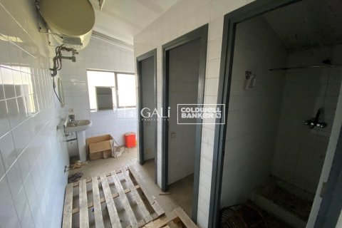 1186 sq.m. commercial property for rent in Principado De Andorra (Ninguna Poblacion Tiene C.P.), Lleida, Catalonia, Spain № 6157 - photo 10
