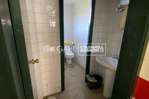 1186 sq.m. commercial property for rent in Principado De Andorra (Ninguna Poblacion Tiene C.P.), Lleida, Catalonia, Spain № 6157 - photo 11