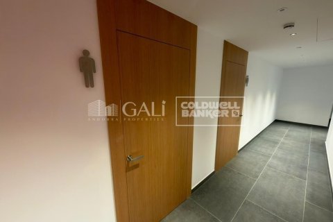 94 sq.m. office for rent in Principado De Andorra (Ninguna Poblacion Tiene C.P.), Lleida, Catalonia, Spain № 6155 - photo 9