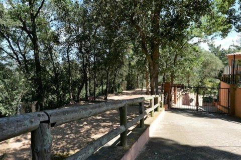Сasa de 15 dormitorios en venta en Vallgorguina, Barcelona, Cataluña, Spain № 1642 - foto 23