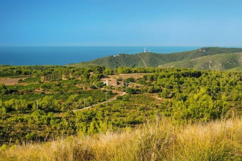 Parcela de 800 m² en venta en Castelldefels, Barcelona, Cataluña, Spain № 936
