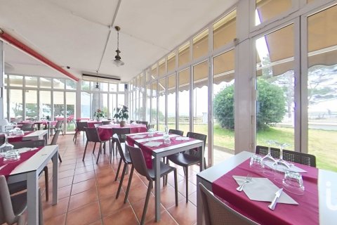 Купить кафе / ресторан в Майами Пладжа, Испания 448м², № 4872 - фото 18