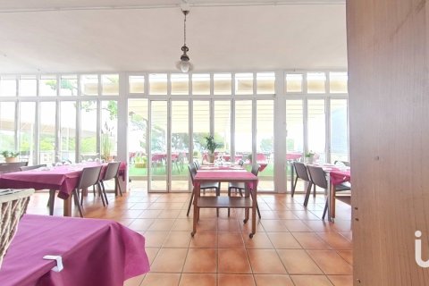 Купить кафе / ресторан в Майами Пладжа, Испания 448м², № 4872 - фото 16