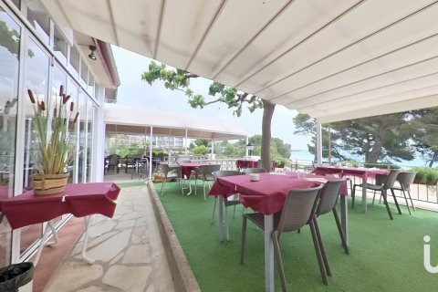 Купить кафе / ресторан в Майами Пладжа, Испания 448м², № 4872 - фото 29