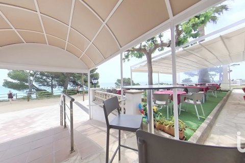 Купить кафе / ресторан в Майами Пладжа, Испания 448м², № 4872 - фото 2