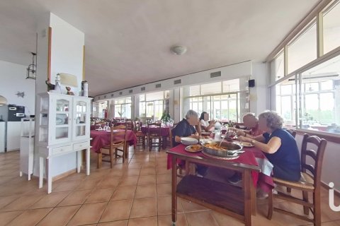 Купить кафе / ресторан в Майами Пладжа, Испания 448м², № 4872 - фото 19