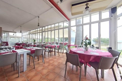Купить кафе / ресторан в Майами Пладжа, Испания 448м², № 4872 - фото 17
