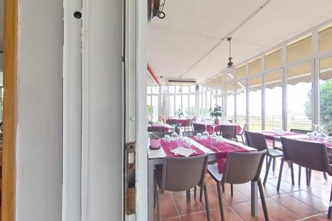 Купить кафе / ресторан в Майами Пладжа, Испания 448м², № 4872 - фото 26