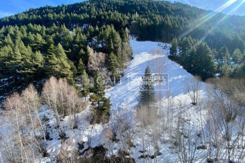 Ático de 2 dormitorios en venta en Principado De Andorra (Ninguna Poblacion Tiene C.P.), Lérida, Cataluña, Spain № 5289 - foto 5
