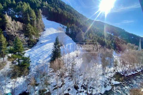 Ático de 2 dormitorios en venta en Principado De Andorra (Ninguna Poblacion Tiene C.P.), Lérida, Cataluña, Spain № 5289 - foto 7