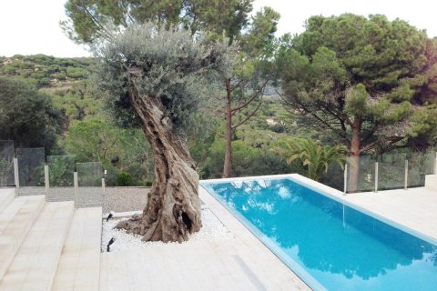 Сasa de 5 dormitorios en venta en Sant Andreu de Llavaneres, Barcelona, Cataluña, Spain № 3585 - foto 4