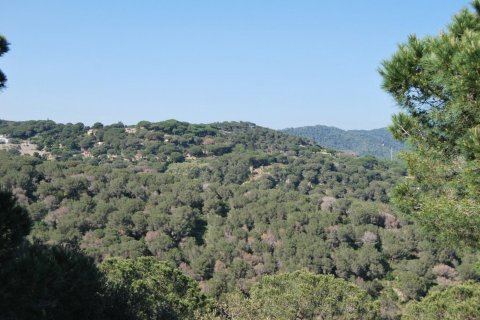 Сasa de 5 dormitorios en venta en Sant Andreu de Llavaneres, Barcelona, Cataluña, Spain № 3585 - foto 3