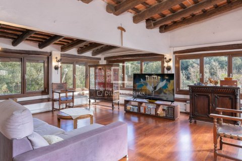 Finca de 13 dormitorios en venta en Mataró, Barcelona, Cataluña, Spain № 8518 - foto 6