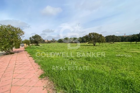 Parcela de 2498 m² en venta en Peralada, Gerona, Cataluña, Spain № 5742