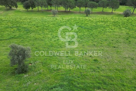 Parcela de 2498 m² en venta en Peralada, Gerona, Cataluña, Spain № 5742 - foto 8