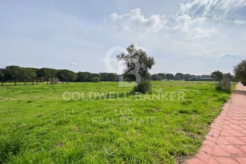 Parcela de 2498 m² en venta en Peralada, Gerona, Cataluña, Spain № 5742 - foto 6
