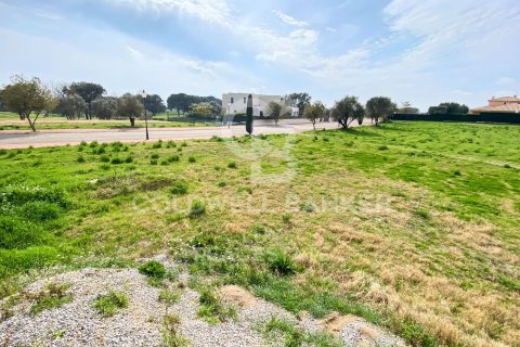 Parcela de 2552 m² en venta en Peralada, Gerona, Cataluña, Spain № 5743