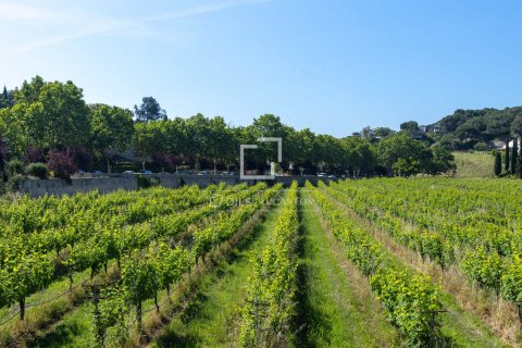Finca de 10 dormitorios en venta en Alella, Barcelona, Cataluña, Spain № 8629 - foto 12