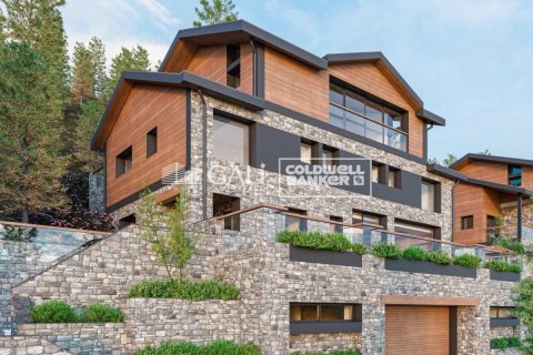 Villa de 5 dormitorios en venta en Principado De Andorra (Ninguna Poblacion Tiene C.P.), Lérida, Cataluña, Spain № 5374